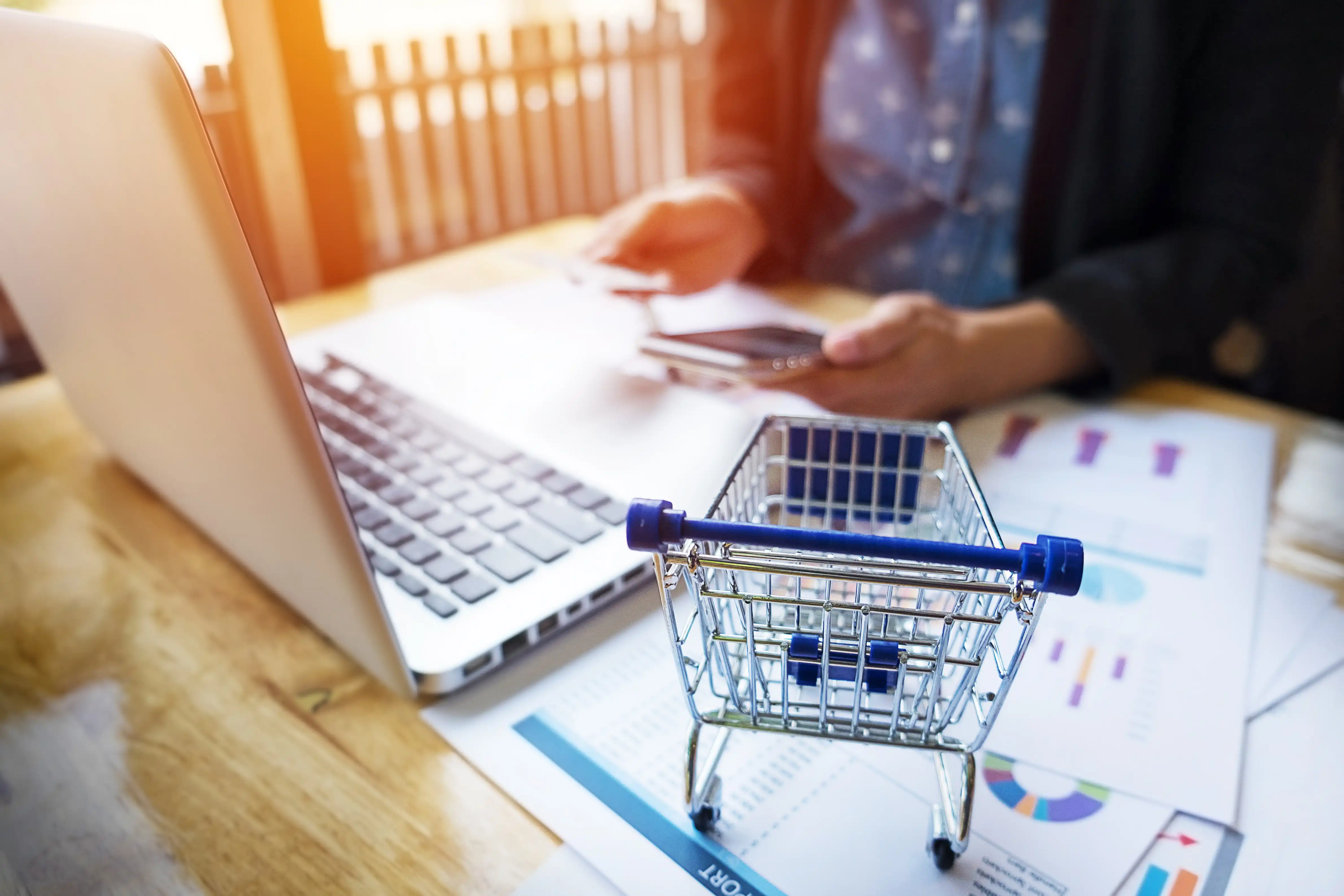 E-Commerce Development illustration